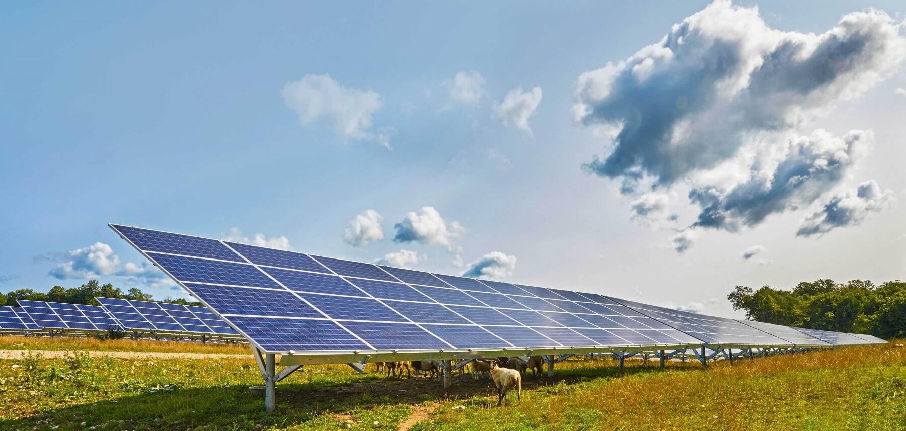 Solar farms feel the heat from ministers but industry hopes it can still  sparkle, Solar power